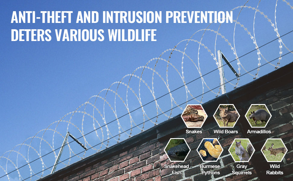 27de4b97-c15e-432f-8adb-74aa2d9d8249.__CR0,0,970,600_PT0_SX970_V1___