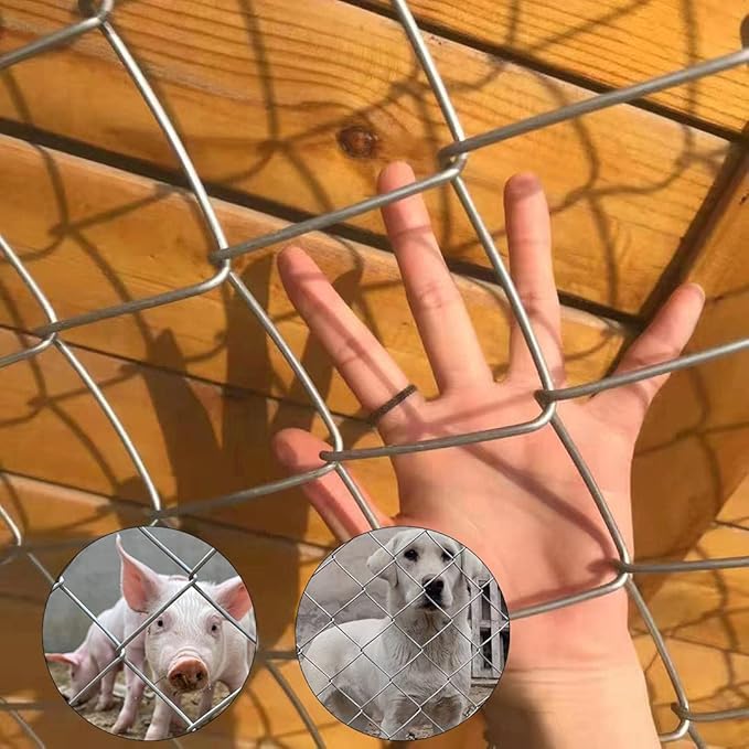 61igmCyUX3S._AC_SX679_